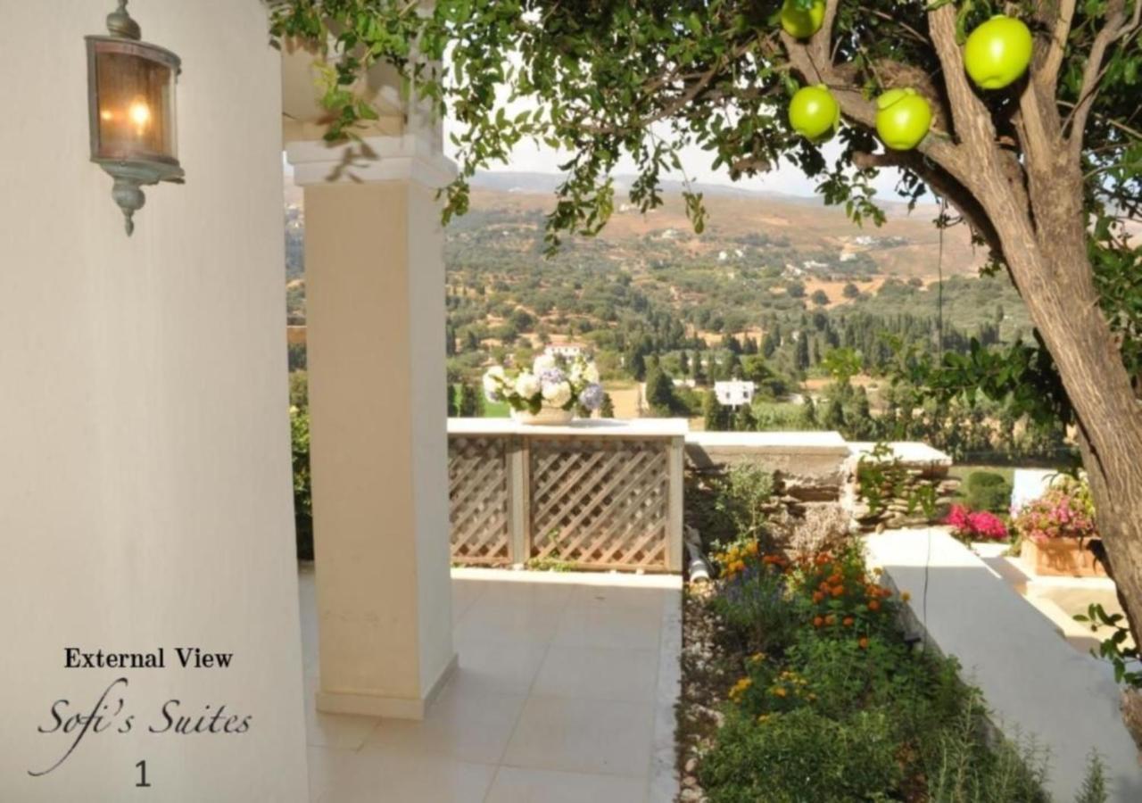 Sofi'S Suites Andros Екстер'єр фото